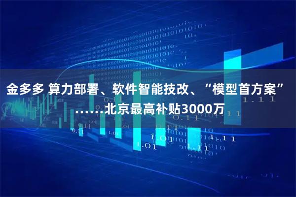 金多多 算力部署、软件智能技改、“模型首方案”  ……北京最高补贴3000万