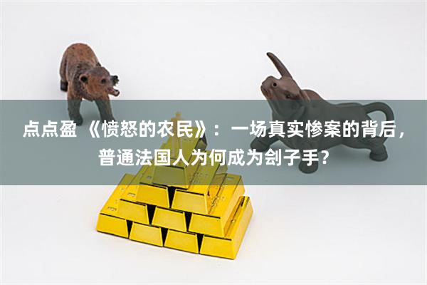 点点盈 《愤怒的农民》：一场真实惨案的背后，普通法国人为何成为刽子手？